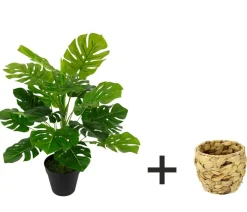 I.GE.A. Kunstpflanze Monstera im Wasserhyazinthentopf, ca. H46 cm