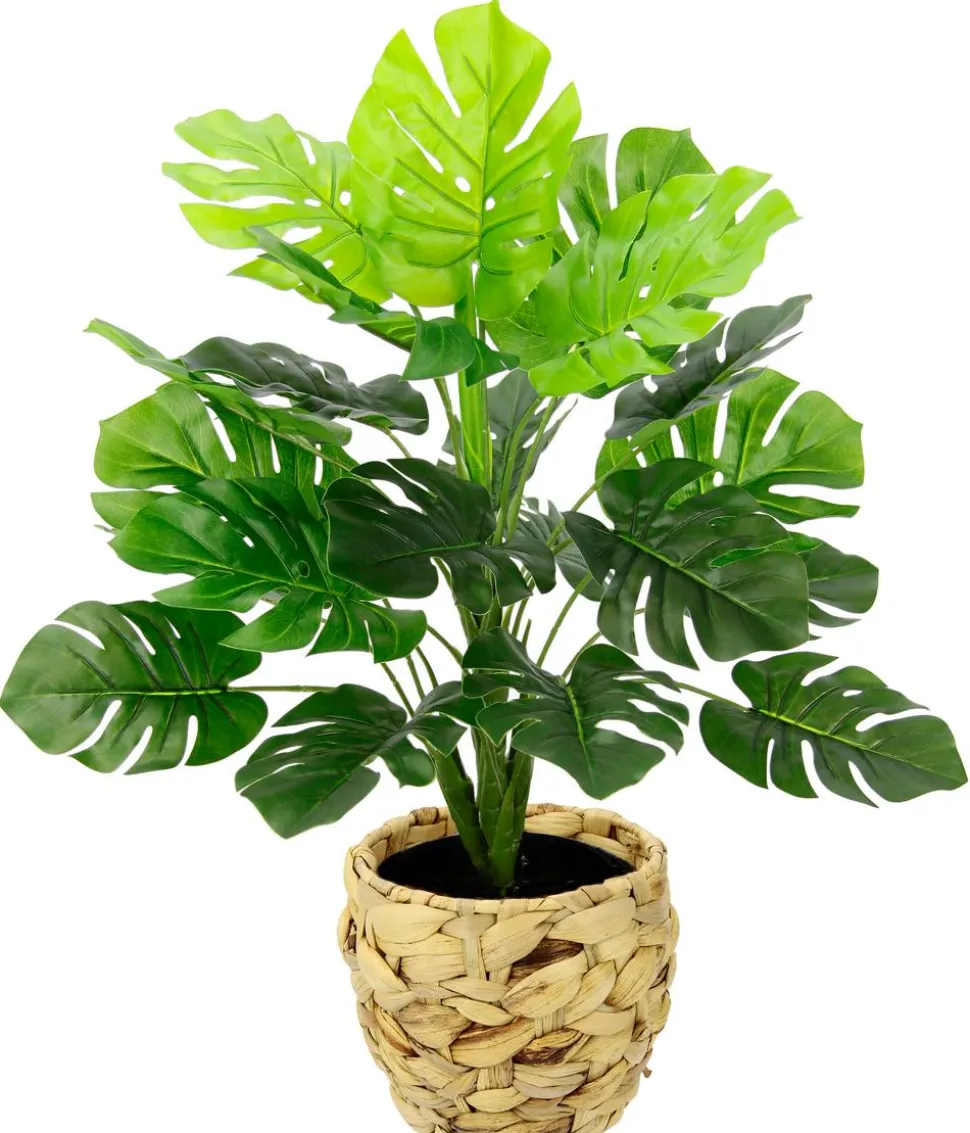 I.GE.A. Kunstpflanze Monstera im Wasserhyazinthentopf, ca. H46 cm