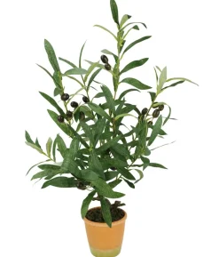 I.GE.A. Kunstpflanze Olive mit schwarzen Oliven, im Topf, ca. H57 cm