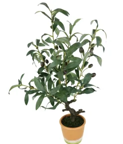 I.GE.A. Kunstpflanze Olive mit schwarzen Oliven, im Topf, ca. H57 cm