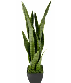 I.GE.A. Kunstpflanze Sansevieria im Kunststoff-Topf, ca. H75 cm