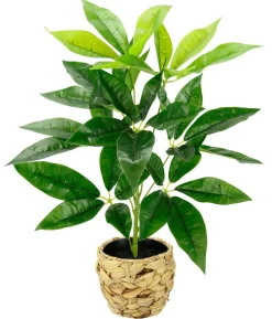 I.GE.A Kunstpflanze Schefflera im Wasserhyazinthentopf, ca. H48 cm