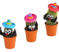 Kaktus mit Sombrero - Cactaceae, verschiedene Sorten