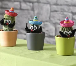 Kaktus mit Sombrero - Cactaceae, verschiedene Sorten