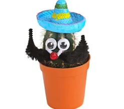 Kaktus mit Sombrero - Cactaceae, verschiedene Sorten