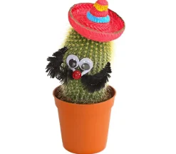 Kaktus mit Sombrero - Cactaceae, verschiedene Sorten