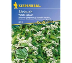 Kiepenkerl Saatgut Bärlauch 'Waldknoblauch'