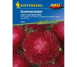 Kiepenkerl Saatgut Sommeraster 'Lady Coral Deep Red'