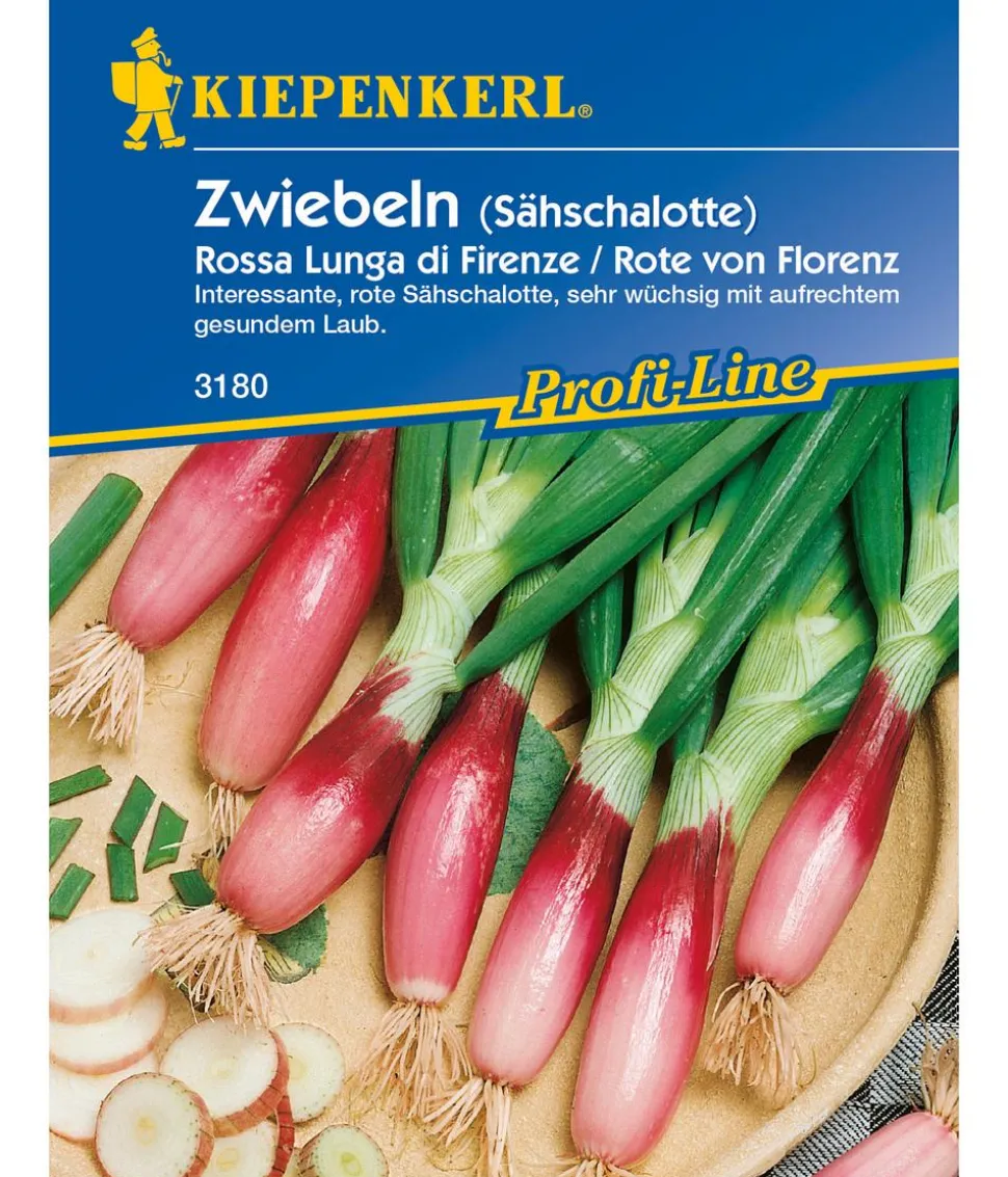 Kiepenkerl Saatgut Lauchzwiebel 'Florenz'