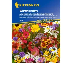 Kiepenkerl Saatgut Wildblumen Amerikanische Landblumenmischung