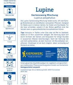 Kiepenkerl Samen Lupine 'Gartenzwerg'