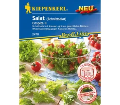 Kiepenkerl Samen Salat 'Crispita II'