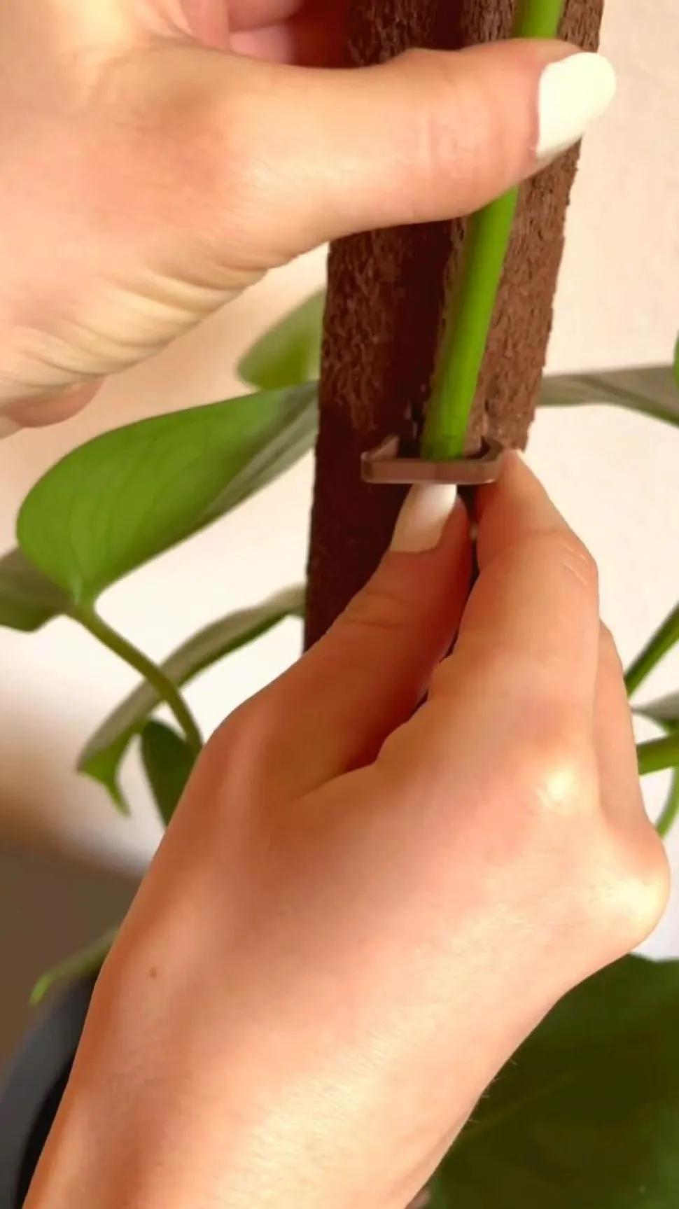 Kratiste Kletterstange