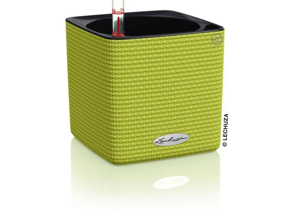 LECHUZA® CUBE Color, All-in-One Set