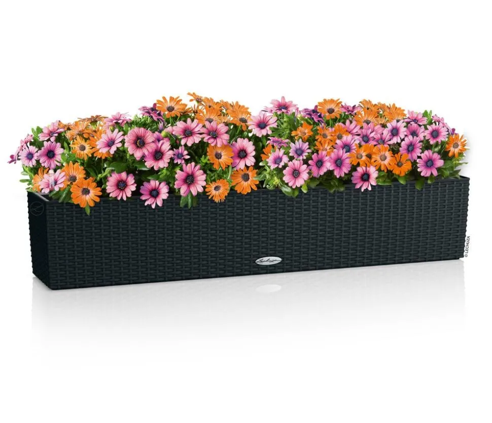 LECHUZA® Kunststoff-Kasten Balconera Cottage, rechteckig
