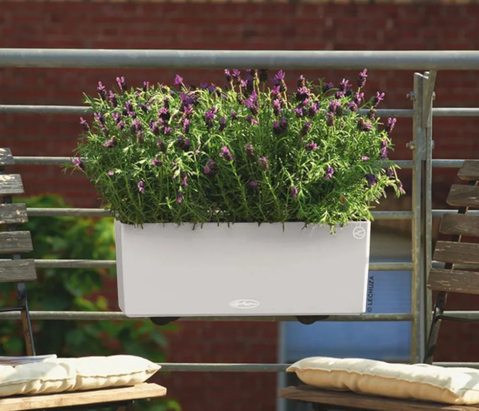 LECHUZA® Kunststoff-Kasten Balconera Color, rechteckig