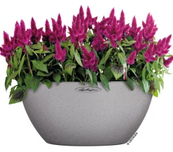 LECHUZA® Kunststoff-Schale 'Cubeto Stone', rund