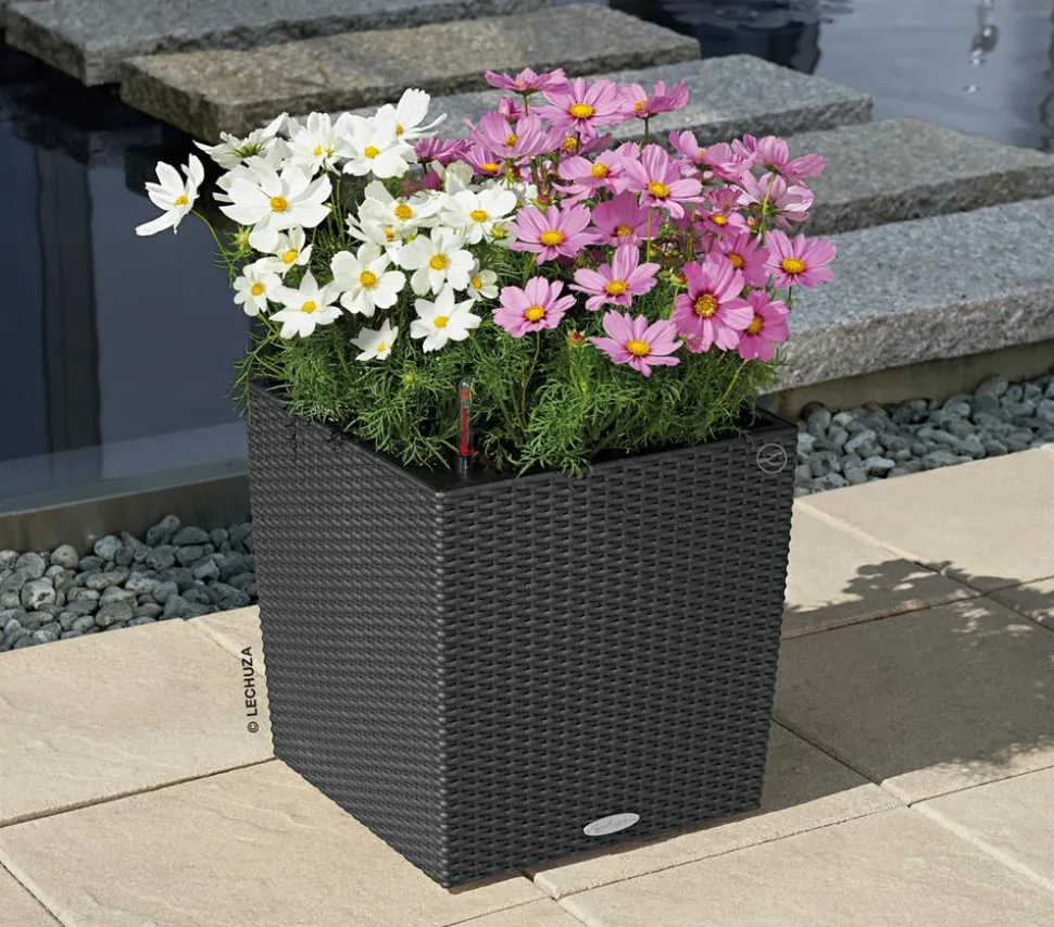 LECHUZA® Kunststoff-Topf Cube Cottage, quadratisch