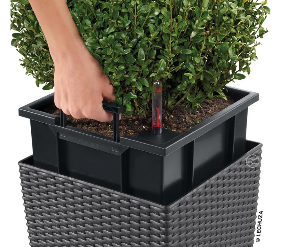 LECHUZA® Kunststoff-Topf Cube Cottage, quadratisch