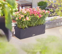 LECHUZA® BALCONISSIMA Color, All-in-One-Set, ca. B40/H14/T14 cm