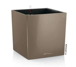LECHUZA® CUBE, All-in-One Set