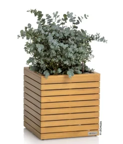 LECHUZA® Holz-Kasten PALO Natural Wood 45, quadratisch