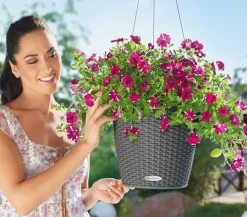 LECHUZA® Kunststoff-Hängeampel Nido Cottage