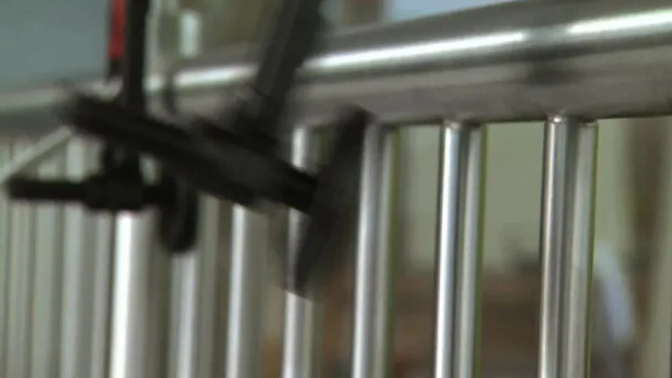 LECHUZA® Kunststoff-Kasten Balconera Cottage, rechteckig