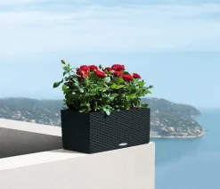 LECHUZA® Kunststoff-Kasten Balconera Cottage, rechteckig