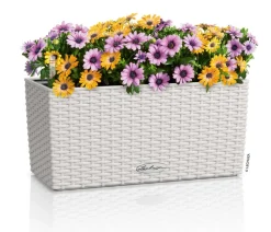 LECHUZA® Kunststoff-Kasten Balconera Cottage, rechteckig