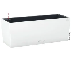 LECHUZA® Kunststoff-Kasten Balconera Color, rechteckig