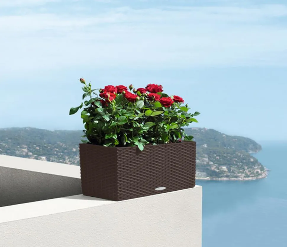 LECHUZA® Kunststoff-Kasten Balconera Cottage, rechteckig