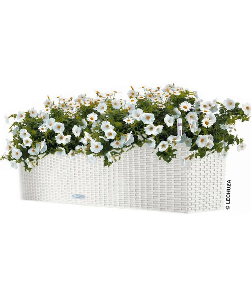 LECHUZA® Kunststoff-Kasten Balconera Cottage, rechteckig
