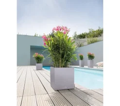 LECHUZA® Kunststoff-Topf Canto Stone, quadratisch