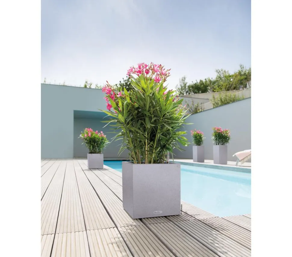LECHUZA® Kunststoff-Topf Canto Stone, quadratisch