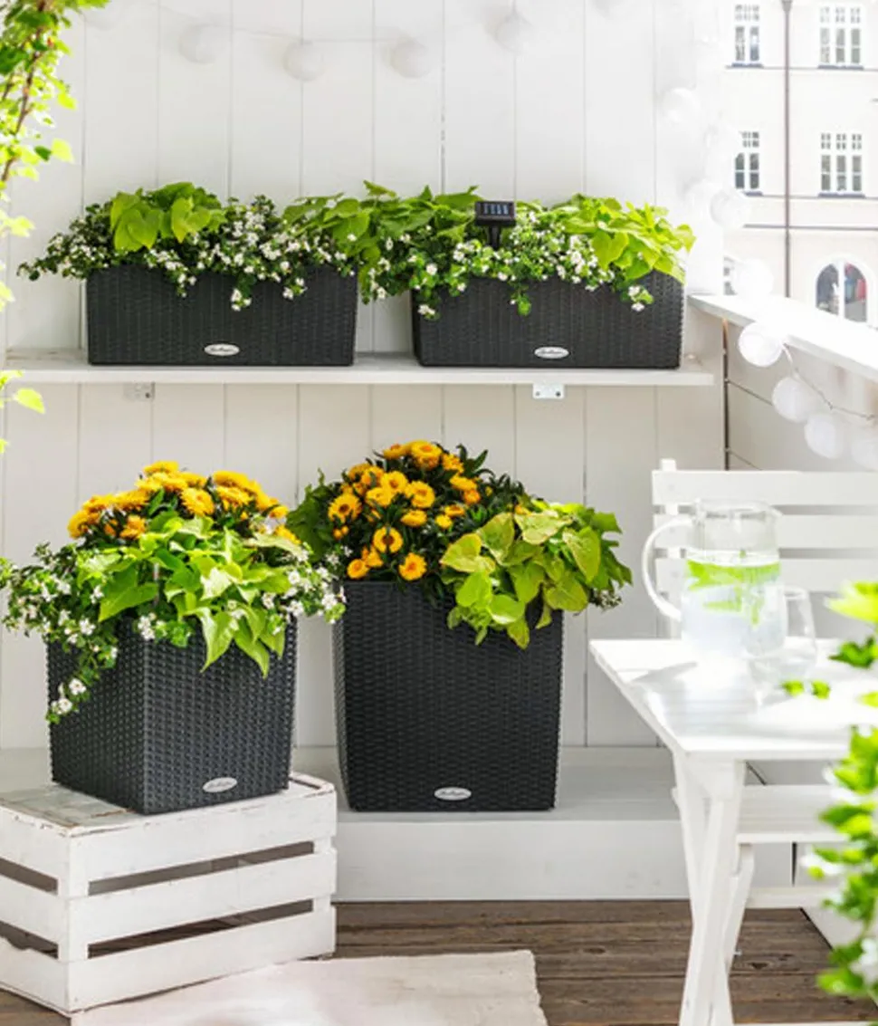 LECHUZA® Kunststoff-Topf Cube Cottage, quadratisch
