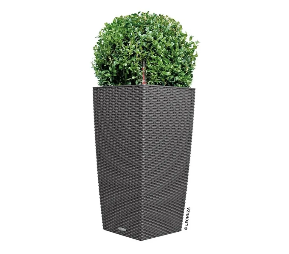 LECHUZA® Kunststoff-Topf Cubico Cottage, konisch