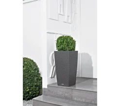 LECHUZA® Kunststoff-Topf Cubico Cottage, konisch