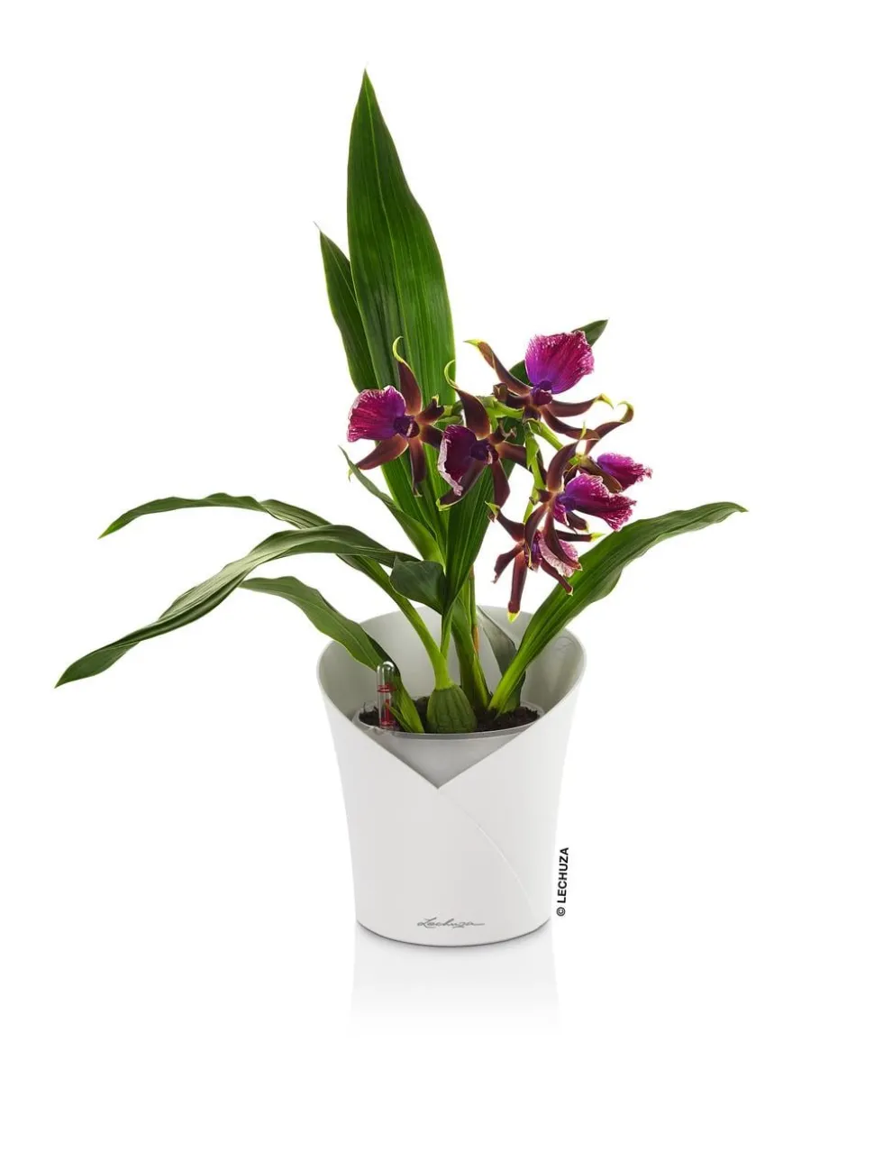 LECHUZA® ORCHIDEA, All-in-One Set, ca. Ø18/H20 cm