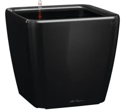 LECHUZA® QUADRO LS, All-in-One-Set