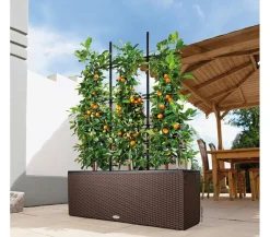 LECHUZA® Trio Cottage Rankgitter, schwarz, ca. B113/H170 cm
