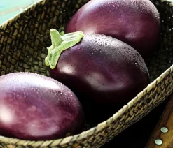 Mini Aubergine