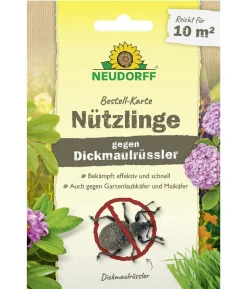 Neudorff Bestell-Karte Nützlinge gegen Dickmaulrüssler, für 10 qm, 1 Stk.