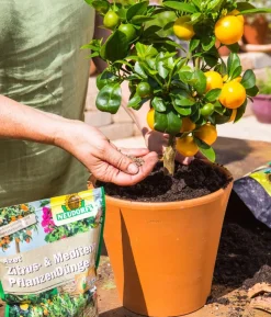 Neudorff Azet® Zitrus- und mediterraner Pflanzendünger, 750 g