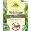 Neudorff Bestell-Karte Nützlinge gegen Trauermücken, 1 Stk.