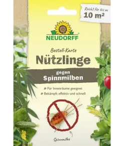 Neudorff Bestell-Karte Nützlinge gegen Spinnmilben, 1 Stk.