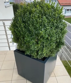 Palatino Metall-Pflanzgefäß Nora, quadratisch, anthrazit