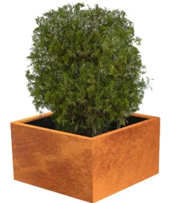 Palatino Cortenstahl-Pflanzgefäß Clara, ca. B80/H50/T80 cm