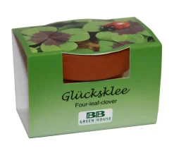 Pflanzset Glücksklee