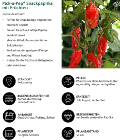 Pick-a-Pep® Snackpaprika mit Früchten